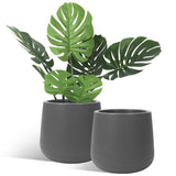 Embossment Plant Flower Pot (Round) - waseeh.com