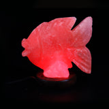 Fish - Table Salt Lamp - waseeh.com