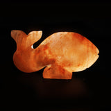 Fish - Table Salt Lamp