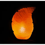 Fern - Table Lamp - waseeh.com